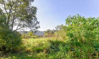 Imagem 2: Vendas Terreno Piraquara PR