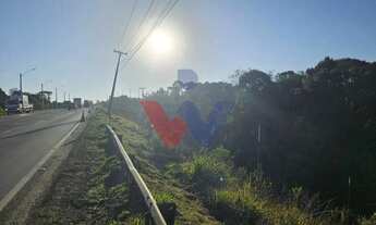 Imagem 9: Área Industrial em Araucária 73.306m Frente PR-423 com Potencial para Galpões