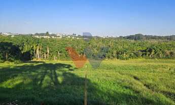 Imagem 6: Área Industrial em Araucária 73.306m Frente PR-423 com Potencial para Galpões