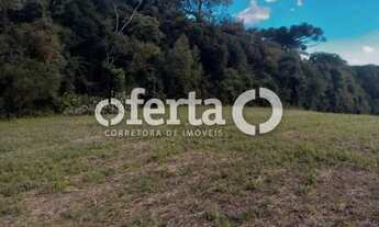 Imagem 7: Chácara em Contenda