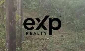 Imagem 5: Chacará em area rural com 10.000m² em Bocaiuva do Sul