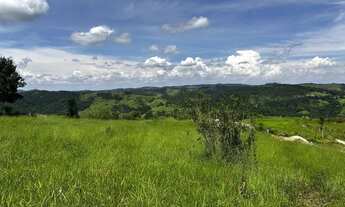 Imagem 7: Lotes para venda tem 1000 metros quadrados em Centro (São João Novo) - São Roque - SP