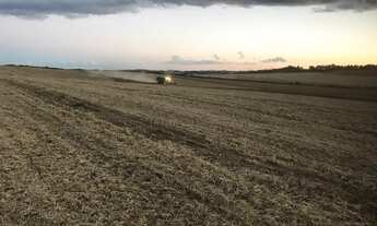 Imagem 5: Vende se Linda Fazenda 95,19 alqueires