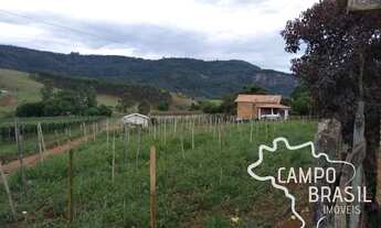 Imagem 5: Campo Brasil Imóveis, realizando seu sonho rural! Sítio de 7,5 alqueires!