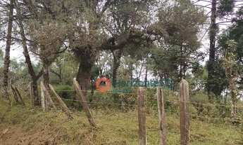 Imagem 7: Chácara à venda, 9 Alqueires por R$ 300.000 - Zona Rural - Pinhão/PR