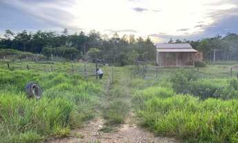 Imagem 7: Fazenda a 25 km de Feijo