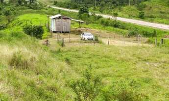 Imagem: Fazenda a 25 km de Feijo