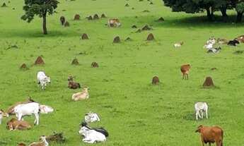 Imagem 2: Apartamento com 2 dormitórios à venda, 60 m² por R$ 238.000,00 - Jardim Alvorada - São Jos