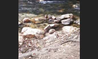 Imagem: Chácara vila mata da cachoeira