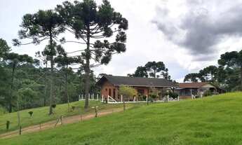 Imagem 6: RIO NEGRINHO - CHACARA - Barro Preto