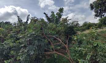 Imagem 6: Chácara no Núcleo Rural Lago Oeste Sobradinho DF,1,150.000