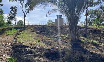 Imagem 2: Chácara - Beira Lago km 32 - com escritura - sentido Lajeado