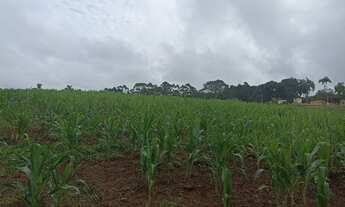 Imagem 6: Lote/Terreno para venda com 500 metros quadrados em Verava - Ibiúna - SP