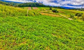 Imagem 4: Vendo meu terreno no campo Cotia - SP