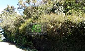 Imagem 4: Terreno para venda no quitandinha lote 37 parte dois de três