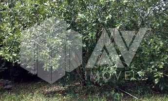 Imagem 3: AREA RES / COM em CAMPINAS - SP, JARDIM ALTO DA CIDADE UNIVERSITARIA