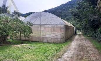 Imagem: Florianópolis - Terreno Padrão - Rio Vermelho