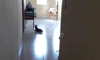 Imagem 4: CASA A VENDA JARDIM SÃO VICENTE