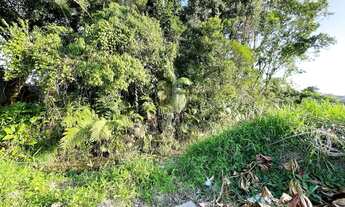 Imagem 3: Terreno em Balneário Nereidas - Guaratuba