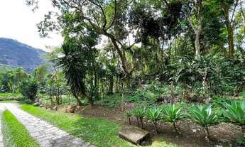 Imagem 5: Cercado de natureza exuberante