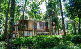 Imagem: Muito verde e natureza exuberante