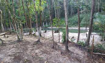 Imagem: Sítio com igarapé