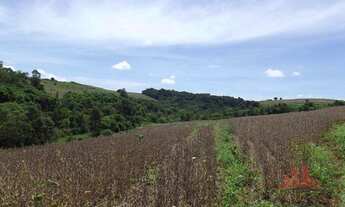 Imagem 5: Área à venda, 24,000 m² por R$ 660.000 - Campo Largo - Santo Antônio da Platina/PR