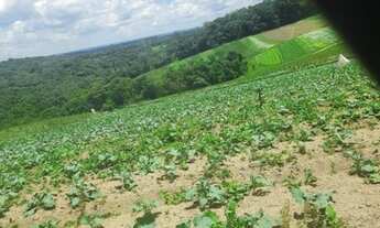 Imagem 12: Lote/Terreno para venda possui 500 metros quadrados em Portal do Santa Paula - Cotia - SP