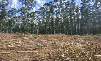 Imagem 4: Terrenos em igaratá!