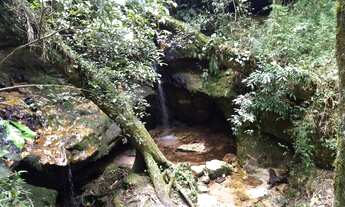 Imagem 3: Terreno em bofete/ Alpes do Castelo