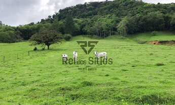 Imagem 5: Sítio 1 Quarto Rodeio - SC - Consulte