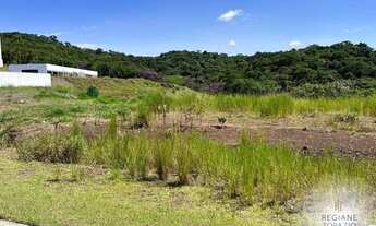 Imagem 7: Lote/Terreno para venda possui 375 metros quadrados em Ponta Aguda - Blumenau - SC