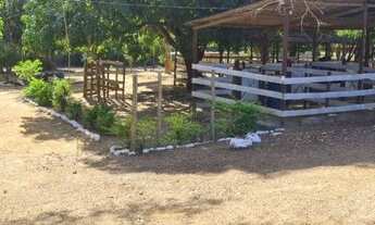 Imagem 5: Baldim - Sítio - Zona Rural