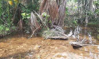 Imagem 15: FAZENDA NO MUNÍCIPIO DE CHAPADA DOS GUIMARÃES - à venda, 4530000 m² por R$ 6.000.000