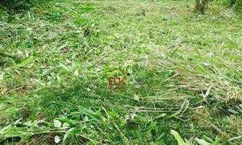 Imagem 5: Terreno à venda, 300 m² por R$ 100.000 - Ubatumirim - Ubatuba/SP