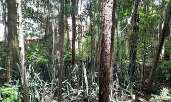 Imagem 5: Terreno à venda, 1476 m² por R$ 1.500.000 - São Luís - Volta Redonda/RJ