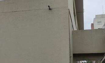 Imagem 2: Excelente prédio comercial a 5 minutos do metrô Butantã!