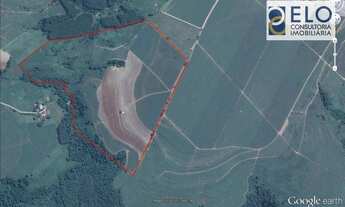 Imagem 3: LINDA ÁREA RURAL EM RIO CLARO NO BAIRRO CAMPO DO COXO!