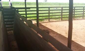 Imagem 4: FAZENDA NA REGIÃO DE ADAMANTINA COM 84,42 ALQUEIRES