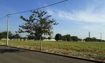 Imagem: RIO DAS PEDRAS - Terreno Padrão - Quinta