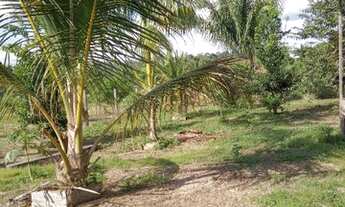 Imagem 4: Vendo chácara Chácara com venda por R$100.000