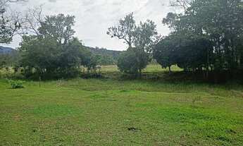 Imagem 3: Terreno de 180.000 metros quadrados na cidade de Luiz Alves SC