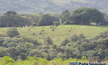 Imagem 3: Fazenda para Venda em Viamão, Sítio São José, 3 dormitórios, 1 suíte, 2 banheiros, 3 vagas