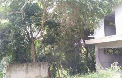 Imagem 4: Casas em área verde