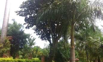 Imagem 6: SÃO JOSÉ DO RIO PRETO - RESIDENCIAL - TALHADOS