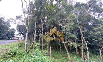 Imagem 9: Terreno à venda, 800 m² por R$ 566.500,00 - Floresta - Gramado/RS