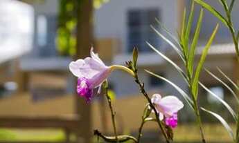 Imagem 5: Terreno - São Francisco do Sul SC
