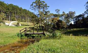 Imagem 3: Terreno à venda, 1446 m² por R$ 1.300.000,00 - Colinas Capivari - Campos do Jordão/SP