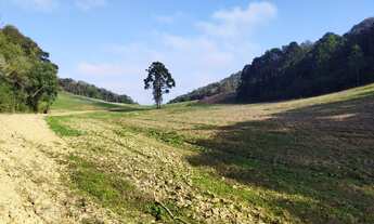 Imagem 4: Área para formar chácara com 67.000m² Jardim são roque- Campo novo