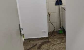 Imagem 4: APARTAMENTOSÃO PAULO